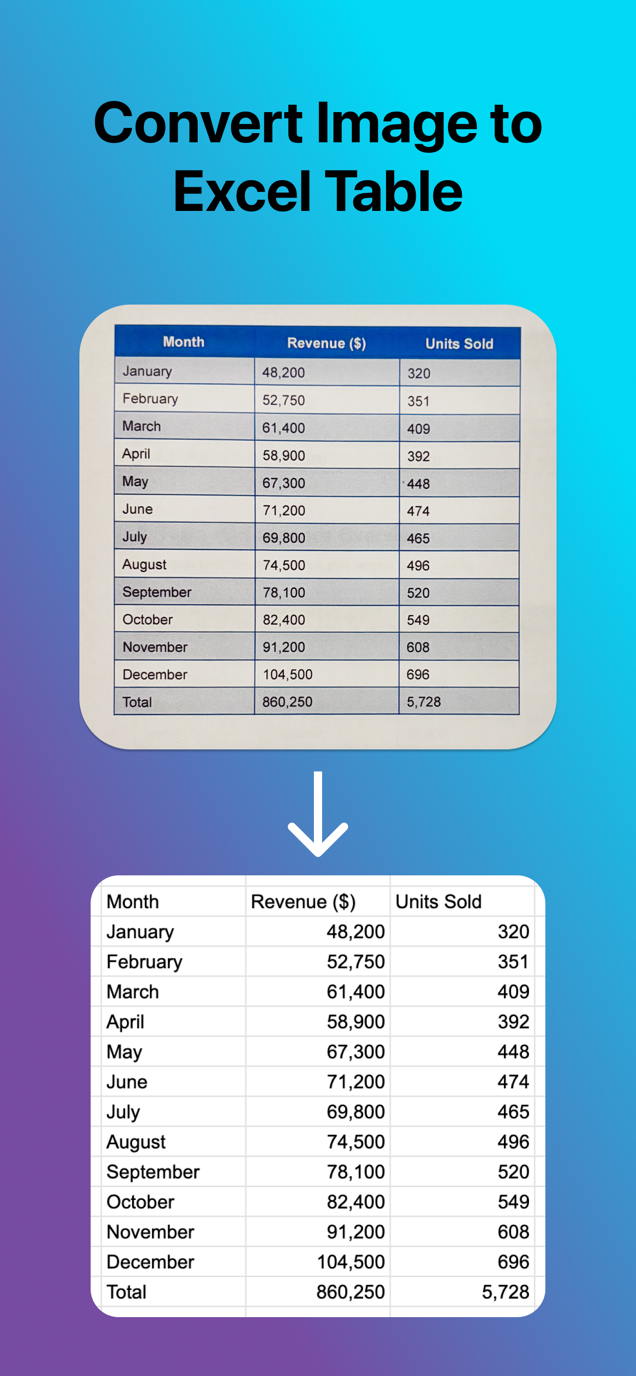 Image to Excel Screenshot 4
